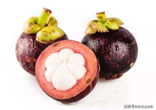 娱乐吃瓜酱山竹,娱乐吃瓜酱的神秘魅力揭秘